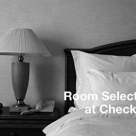 Hotel Maxim Božava Chambre photo